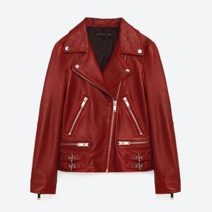 Zara Genuine Leather Moto Jacket in Size M